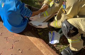 Adolescente sofre fratura no braço após queda de bicicleta em ciclovia da Avenida Brasil