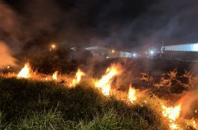 Incêndio de grandes proporções atinge vegetação no Bairro Brasília, em Cascavel