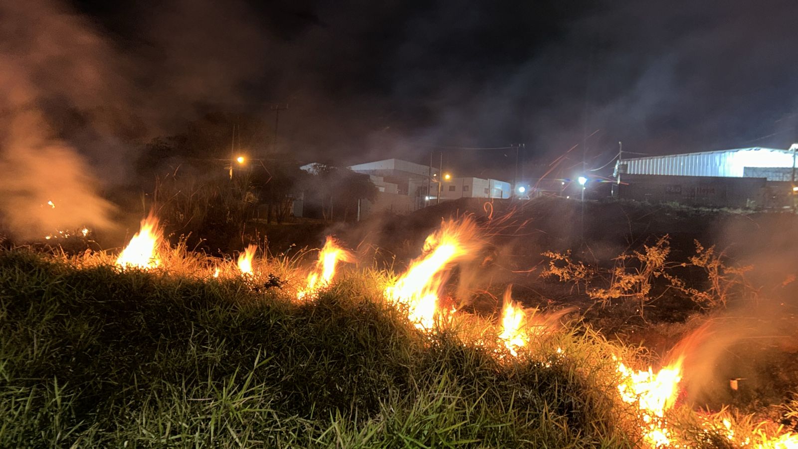 Incêndio de grandes proporções atinge vegetação no Bairro Brasília, em Cascavel