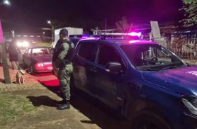 Responsável por Pitbull vítima de maus-tratos é notificado pela Patrulha Ambiental da GM