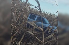 Caminhonete S10 é encontrada capotada em lavoura de milho às margens da PR-589,