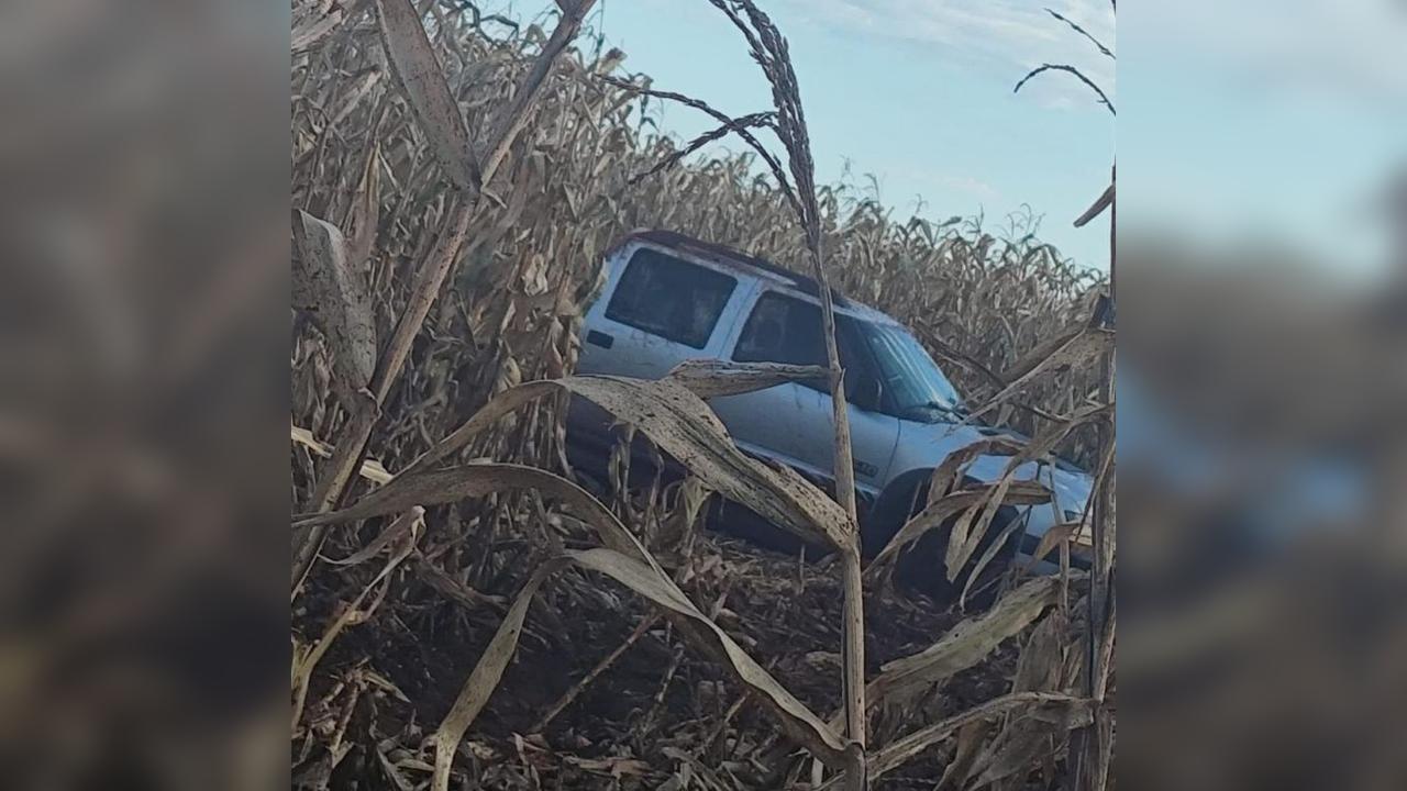 Imagem relativa a Caminhonete S10 é encontrada capotada em lavoura de milho às margens da PR-589,