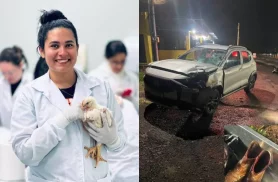 Estudante de veterinária morre atropelada na rodovia BR-369