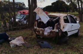 Homem fica ferido após capotar carro e bater em árvore na PR-180
