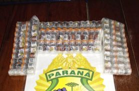 Polícia Militar apreende 88 ampolas de tirzepatida abandonadas em ônibus interestadual