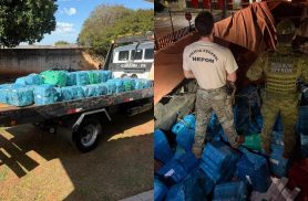 Quase 1,5 tonelada de maconha é apreendida em carreta na BR-487, em Icaraíma