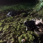 Imagem relativa a Jovem de 19 anos morre em grave acidente entre moto e caminhão na PR-182