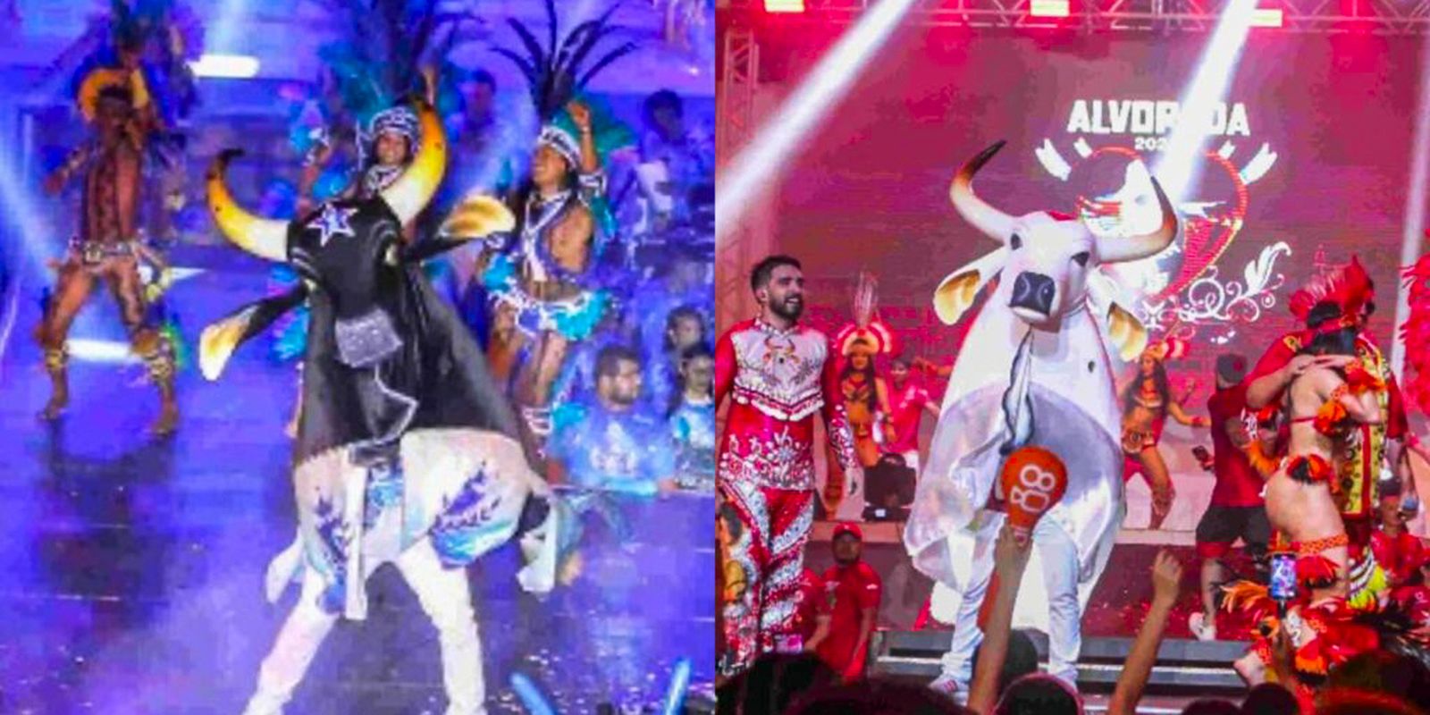Imagem referente a Apuração define o campeão do Festival de Parintins 2026 nesta segunda