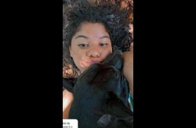 Cachorra Stella desapareceu no bairro Brasmadeira