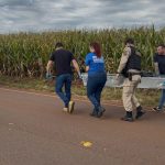 Homem de 61 anos é encontrado morto às margens da PR-465 entre Peabiru e Araruna Imagem relativa a Homem de 61 anos é encontrado morto às margens da PR-465 entre Peabiru e Araruna