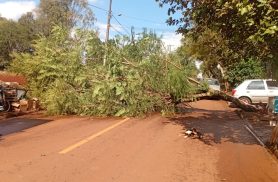 Depois do temporal... os estragos em Cascavel