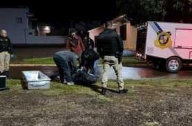 Suspeitos de homicídio e agressões em evento de São Clemente se apresentam à Polícia Civil