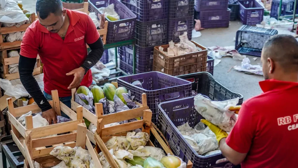 Governo anuncia crédito de R$ 97,3 bi para agricultores familiares Imagem referente a Governo anuncia crédito de R$ 97,3 bi para agricultores familiares