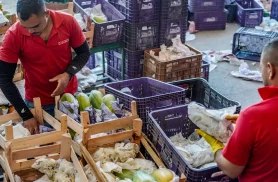 Governo anuncia crédito de R$ 97,3 bi para agricultores familiares