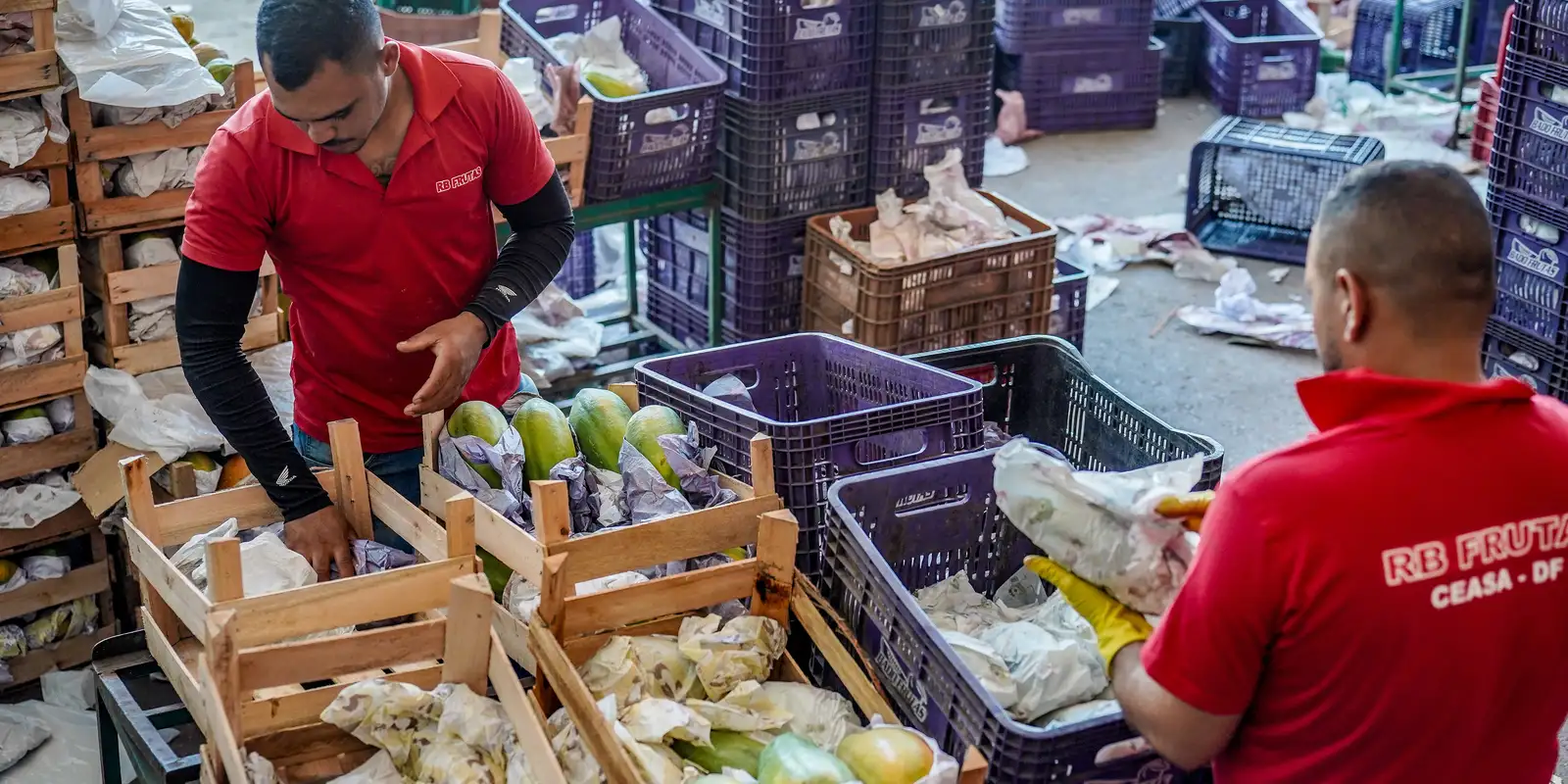 Imagem referente a Governo anuncia crédito de R$ 97,3 bi para agricultores familiares