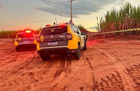 Corpo enrolado em plástico é encontrado em canavial na Região Noroeste do PR