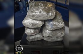 Homem é preso pela PRF de Guarapuava após sair de Cascavel com 2 kg de maconha