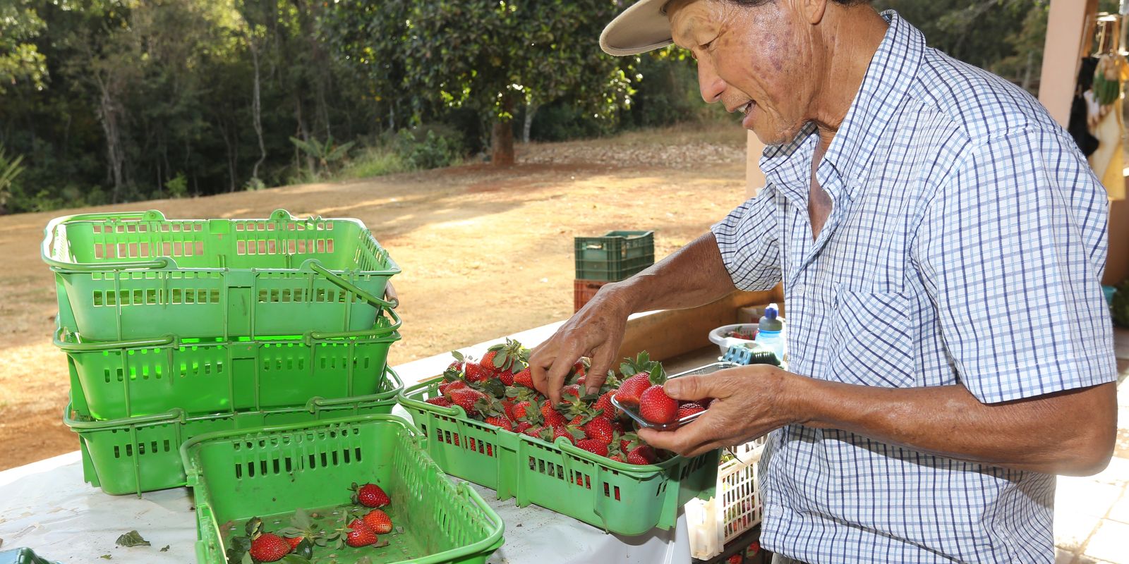 Imagem referente a Finep vai pagar R$ 220 milhões para inovações em agricultura familiar 