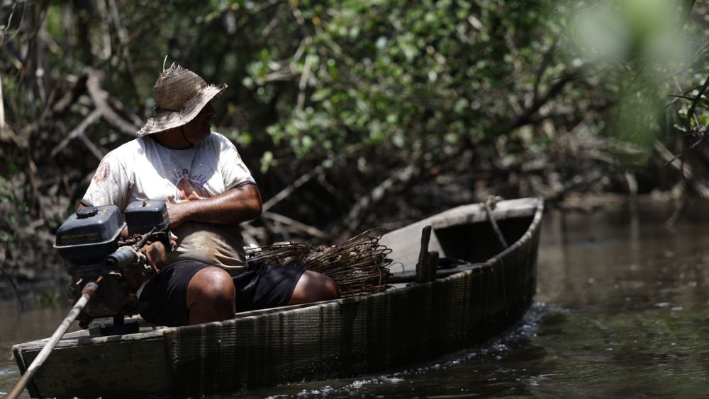 INSS paga em julho R$ 874 milhões a 149,5 mil pescadores Imagem referente a INSS paga em julho R$ 874 milhões a 149,5 mil pescadores