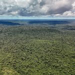 Imagem relativa a Adversária em campo, Noruega é parceira de ações ambientais do Brasil