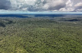 Adversária em campo, Noruega é parceira de ações ambientais do Brasil