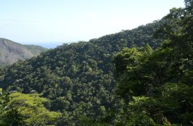 Plano mobiliza R$ 500 bi para financiamento sustentável no Brasil