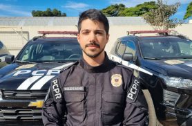 Delegado comenta destruição de 14 toneladas de drogas em Cascavel