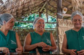 Biocosméticos unem ciência e tradições ribeirinhas no Oeste do Pará