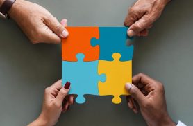 No cooperativismo, o sucesso de um depende do sucesso de todos