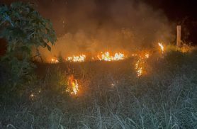 Incêndio em vegetação assusta moradores do bairro 14 de Novembro
