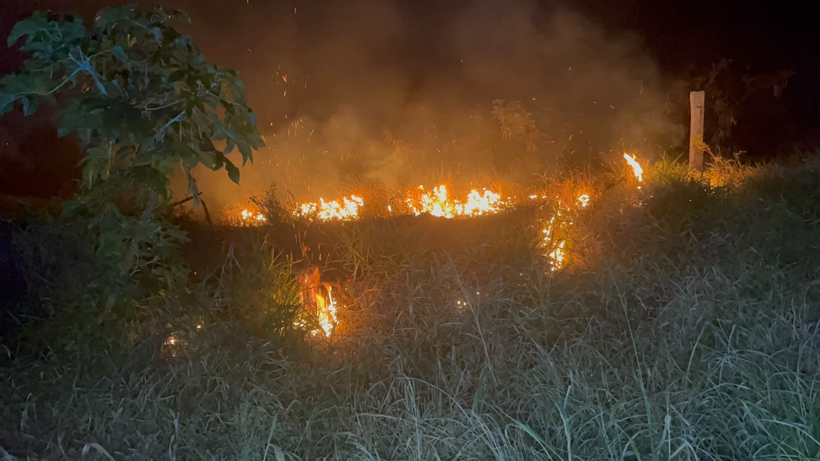 Incêndio em vegetação assusta moradores do bairro 14 de Novembro