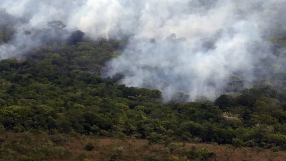 Copernicus: emissão global de gases por incêndios é a menor em 24 anos Imagem referente a Copernicus: emissão global de gases por incêndios é a menor em 24 anos