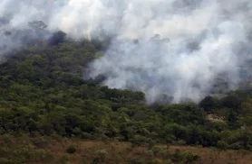 Copernicus: emissão global de gases por incêndios é a menor em 24 anos