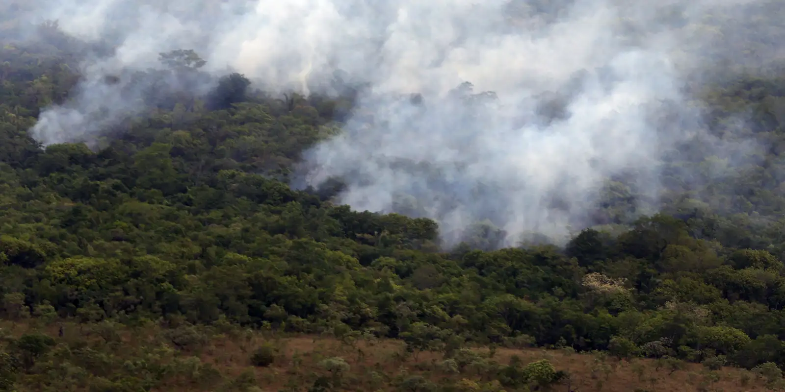 Imagem referente a Copernicus: emissão global de gases por incêndios é a menor em 24 anos