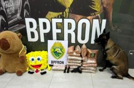 Nem a Fenda do Biquíni imaginava essa: Bob Esponja e capivara são apreendidos com drogas Nem a Fenda do Biquíni imaginava essa: Bob Esponja e capivara são apreendidos com drogas