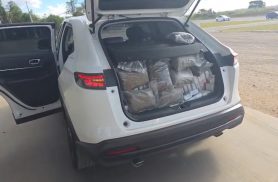 Em duas ocorrências, PRF apreende mais de meia tonelada de maconha