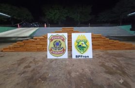 BPFRON e PF apreendem mais de 107 quilos de maconha durante patrulhamento no Rio Paraná BPFRON e PF apreendem mais de 107 quilos de maconha durante patrulhamento no Rio Paraná