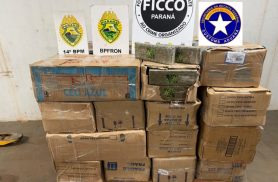 Ação integrada apreende mais de 721 quilos de maconha na BR-277 em Foz do Iguaçu
