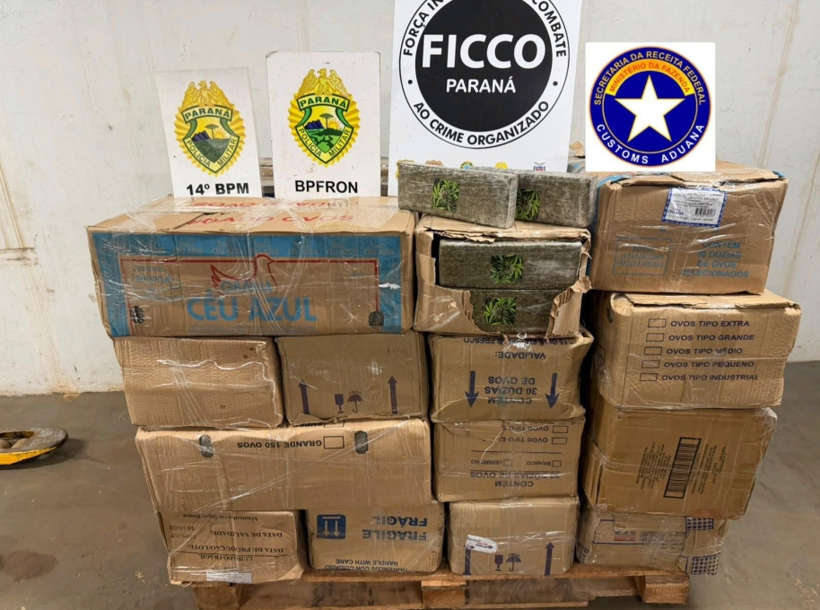 Imagem referente a Ação integrada apreende mais de 721 quilos de maconha na BR-277 em Foz do Iguaçu