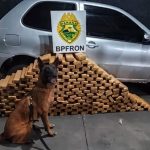 Imagem relativa a Homem é preso com 232,5 kg de maconha em carro durante operação do BPFRON em Nova Prata do Iguaçu