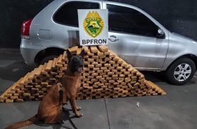 Homem é preso com 232,5 kg de maconha em carro durante operação do BPFRON em Nova Prata do Iguaçu