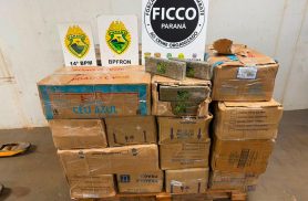 Polícia apreende mais de 700 kg de maconha e prende motorista na BR-277 em Foz do Iguaçu