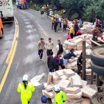 Imagem relativa a Motorista tem braço amputado em tombamento e índigenas saqueiam carga de frango na BR-277