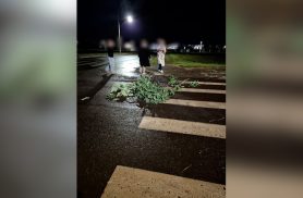 Galhos são colocados em buraco após motociclista ficar ferida em queda no Bairro Tropical, em Cascavel