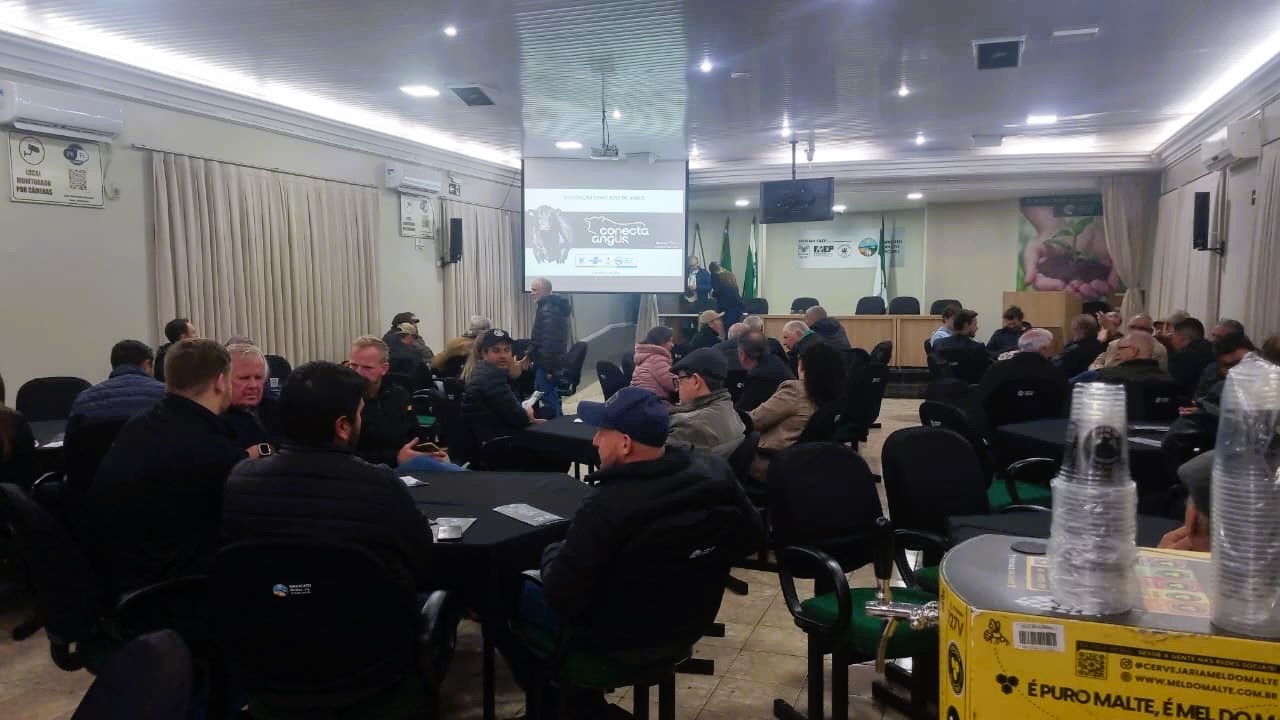 Conecta Angus estreia no Paraná e reúne cadeia produtiva da carne em Cascavel