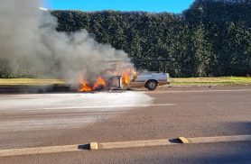 Pampa pega fogo na Avenida Tancredo Neves