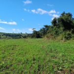 Imagem relativa a Polícia Militar Ambiental constata desmatamento de vegetação nativa durante fiscalização no Paraná
