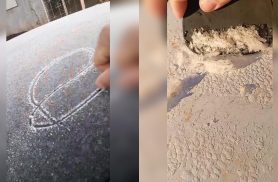Será que fez frio em Cascavel hoje? Geada deu o recado logo ao amanhecer