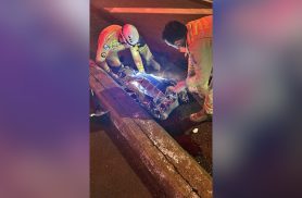 Atropelamento na BR-277 termina com morte de pedestre em Santa Terezinha de Itaipu