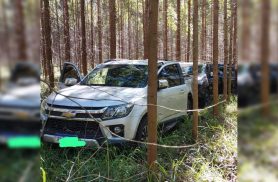 Caminhonetes furtadas e roubadas são encontradas escondidas em plantação às margens da BR-163